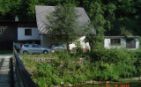 River Radovna whole or half or 5 building plots. Click here for more details. River Radovna whole or half or 5 building plots. Click here for more details.